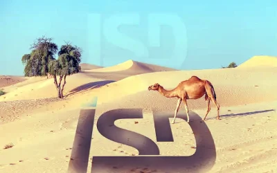 ISD au Moyen Orient