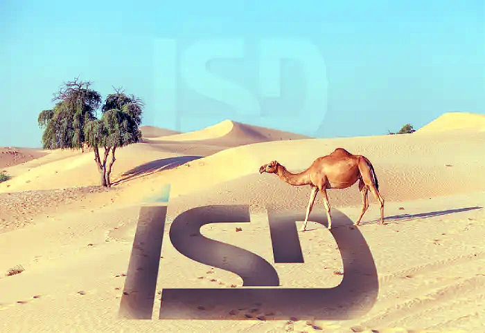 ISD-SA au Moyen Orient